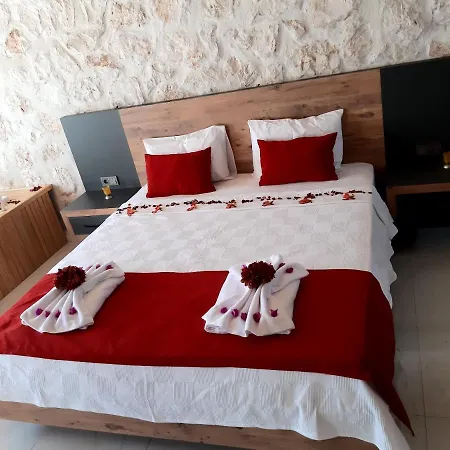 Βίλα Villa Velsem *